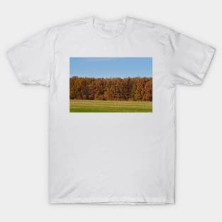 Oak forest in the autumn T-Shirt